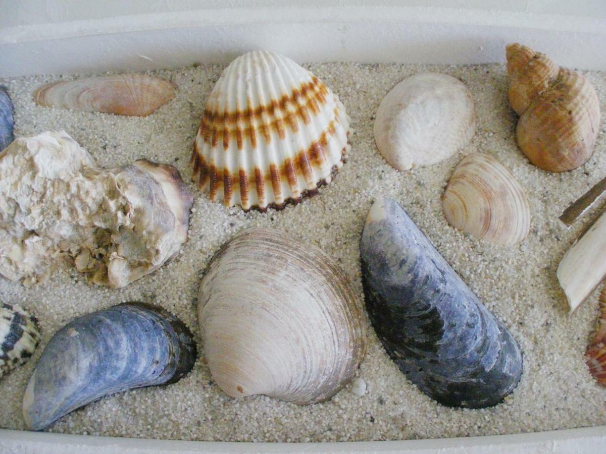 Frische Brise 4.04 Mit Meerblick Cuxhaven Eksteriør billede